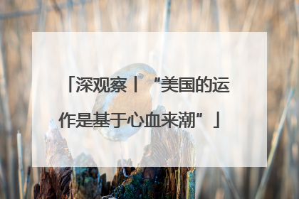 深观察丨“美国的运作是基于心血来潮”