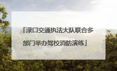 渌口交通执法大队联合多部门举办驾校消防演练