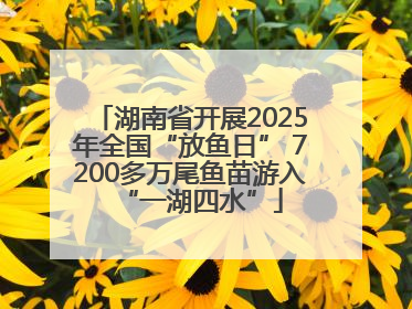 湖南省开展2025年全国“放鱼日” 7200多万尾鱼苗游入“一湖四水”