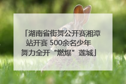 湖南省街舞公开赛湘潭站开赛 500余名少年舞力全开“燃爆”莲城