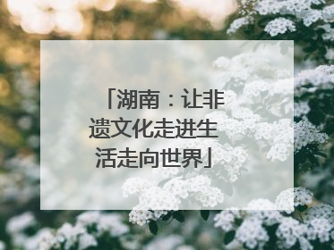 湖南：让非遗文化走进生活走向世界