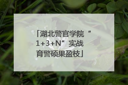 湖北警官学院“1+3+N”实战育警硕果盈枝