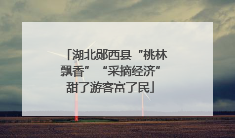 湖北郧西县“桃林飘香”“采摘经济”甜了游客富了民