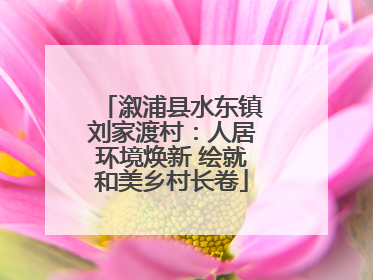溆浦县水东镇刘家渡村：人居环境焕新 绘就和美乡村长卷