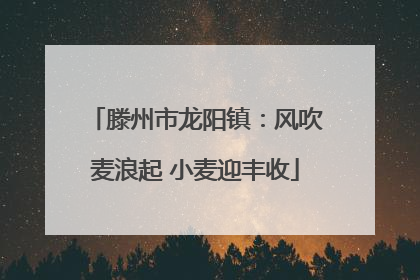 滕州市龙阳镇：风吹麦浪起 小麦迎丰收