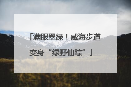 满眼翠绿！威海步道变身“绿野仙踪”