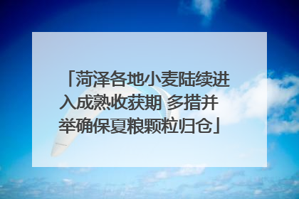 菏泽各地小麦陆续进入成熟收获期 多措并举确保夏粮颗粒归仓