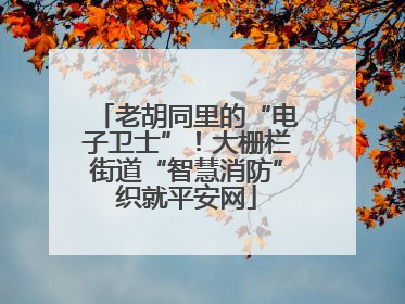 老胡同里的“电子卫士”！大栅栏街道“智慧消防”织就平安网