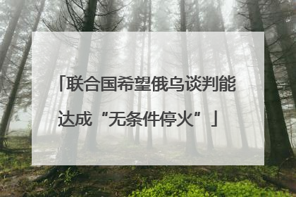 联合国希望俄乌谈判能达成“无条件停火”