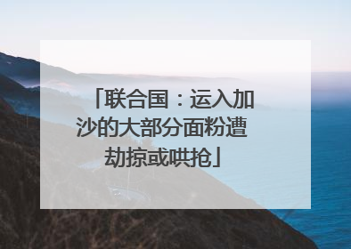 联合国：运入加沙的大部分面粉遭劫掠或哄抢