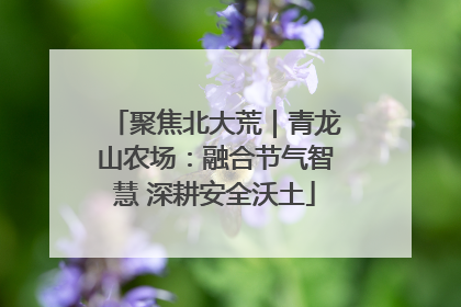 聚焦北大荒｜青龙山农场：融合节气智慧 深耕安全沃土