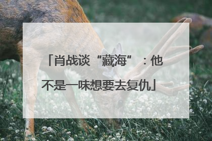肖战谈“藏海”：他不是一味想要去复仇