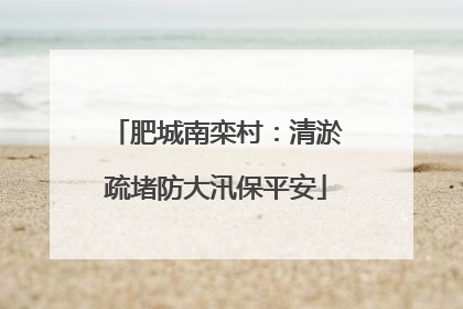 肥城南栾村：清淤疏堵防大汛保平安