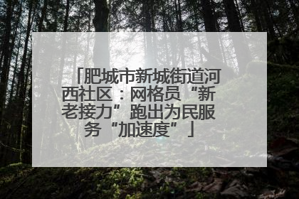 肥城市新城街道河西社区：网格员“新老接力”跑出为民服务“加速度”