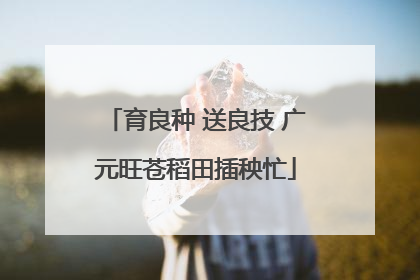 育良种 送良技 广元旺苍稻田插秧忙