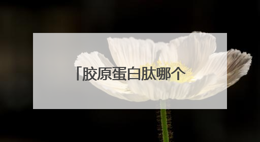 胶原蛋白肽哪个牌子最好？这十个牌子性价比拉满 附避坑指南
