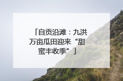 自贡沿滩：九洪万亩瓜田迎来“甜蜜丰收季”