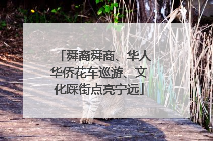 舜裔舜商、华人华侨花车巡游、文化踩街点亮宁远