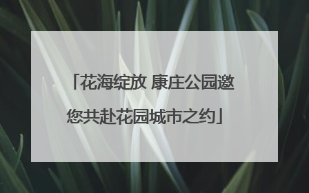 花海绽放 康庄公园邀您共赴花园城市之约