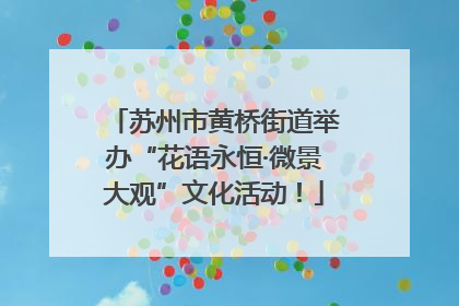 苏州市黄桥街道举办“花语永恒·微景大观”文化活动！