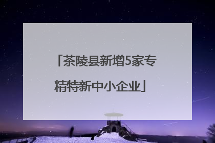 茶陵县新增5家专精特新中小企业