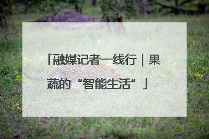 融媒记者一线行｜果蔬的“智能生活”