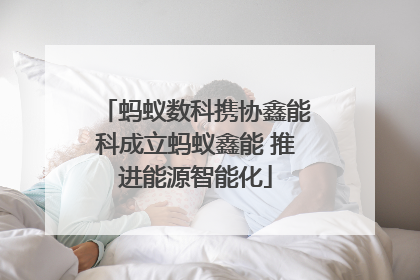 蚂蚁数科携协鑫能科成立蚂蚁鑫能 推进能源智能化