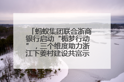 蚂蚁集团联合浙商银行启动“栀梦行动”，三个维度助力浙江下姜村建设共富示范区示范点