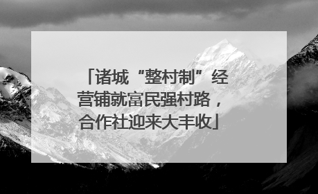 诸城“整村制”经营铺就富民强村路，合作社迎来大丰收