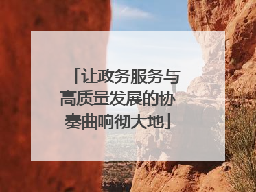 让政务服务与高质量发展的协奏曲响彻大地