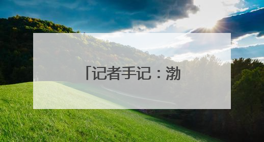 记者手记：渤海湾畔盐碱滩变身“新粮仓”