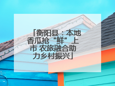 衡阳县：本地香瓜抢“鲜”上市 农旅融合助力乡村振兴