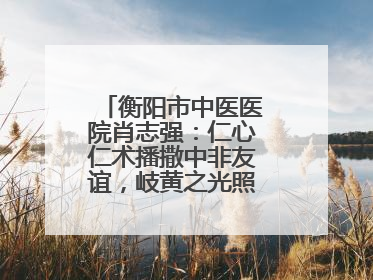 衡阳市中医医院肖志强：仁心仁术播撒中非友谊，岐黄之光照亮津巴大地