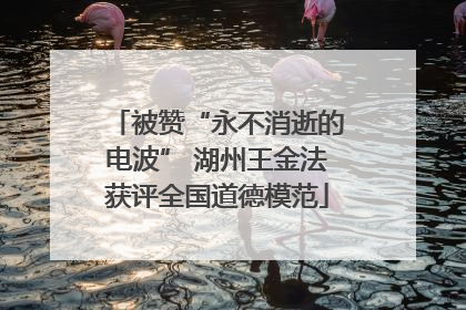 被赞“永不消逝的电波” 湖州王金法获评全国道德模范