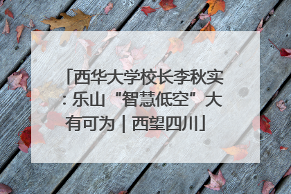 西华大学校长李秋实：乐山“智慧低空”大有可为｜西望四川