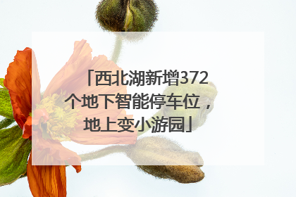 西北湖新增372个地下智能停车位，地上变小游园
