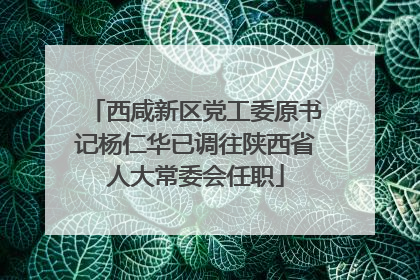 西咸新区党工委原书记杨仁华已调往陕西省人大常委会任职