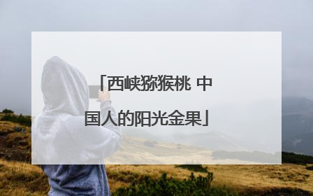 西峡猕猴桃 中国人的阳光金果