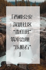 西峰公安：深耕社区“责任田” 筑牢治理“压舱石”