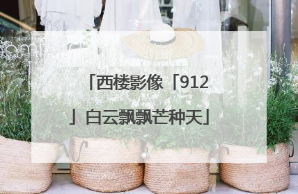 西楼影像「912」白云飘飘芒种天