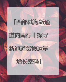 西部陆海新通道向南行丨探寻新通道货物运量增长密码