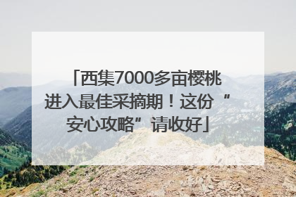 西集7000多亩樱桃进入最佳采摘期！这份“安心攻略”请收好