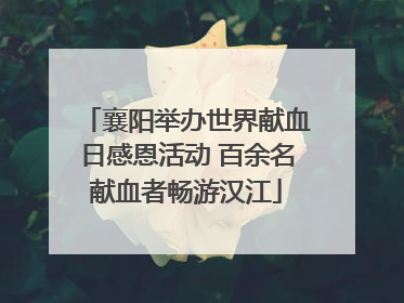 襄阳举办世界献血日感恩活动 百余名献血者畅游汉江