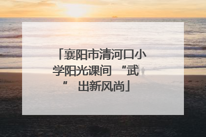 襄阳市清河口小学阳光课间 “武” 出新风尚