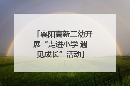 襄阳高新二幼开展“走进小学 遇见成长”活动