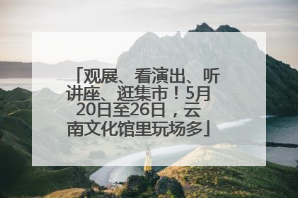 观展、看演出、听讲座、逛集市！5月20日至26日，云南文化馆里玩场多