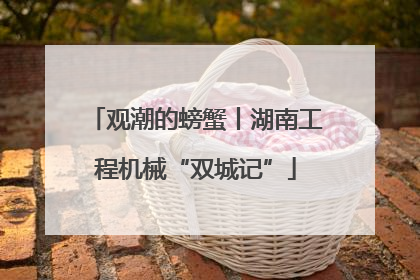 观潮的螃蟹丨湖南工程机械“双城记”