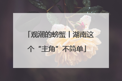 观潮的螃蟹丨湖南这个“主角”不简单