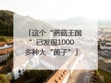 这个“蘑菇王国”已发现1000多种大“菌子”