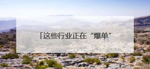 这些行业正在“爆单”！中国经济活力密码